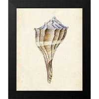 Wang, Melissa Crni moderni uokvireni muzej umjetnički print pod nazivom - Vodenikolor Seashell I