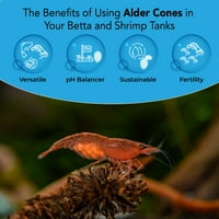 Alder Cone Vodovod za bettu ribu, stvara rodno stanište, ublažava stres, služi kao vrtić i izvor hrane, smanjuje pH vode, mogu se koristiti u filteru ili slobodno u akvarijumu, Jor