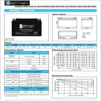 YTX9-BS SLA baterija za Everstart ES9BS Powersport - Pack