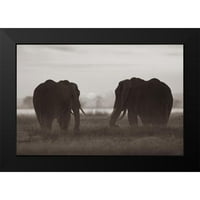 Fitzharris, Tim crna Moderna uokvirena muzejska umjetnička štampa pod nazivom - Afrički slonovi u Sanrise-Amboseli