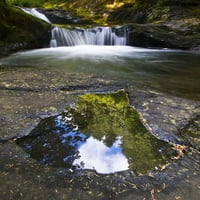 Sweet Creek drveće i oblaci u lokvi Nancy Rotenberg