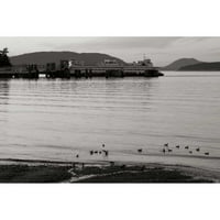 Styber, Dana crna Moderna uokvirena muzejska umjetnost tisak pod nazivom - San Juan Ferry Dock I