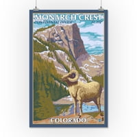Crest monarha, Kolorado, Big Horh ovca