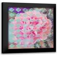 Davis Ashley Crni moderni uokvireni muzej umjetnički print pod nazivom - ružičasti cvjetovi dijamanti