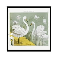 Klasični aperijski poster - Vintage estetički otisak - Unfamed Wall Art - Poklon za umjetnika, prijatelja - Bijeli divlji labudovi na jezeru, priroda, divan - zidni dekor za spavaću sobu, jaslice