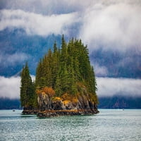 Princ William Sound-Aljaska-Valdez-Otok-Evergreen Trees-Autumn-Magla Jolly Sienda
