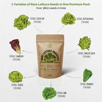 Podešavanje salate sorte salata - Non-GMO sjemenke za posade za sadnju zelene salate Hydroponic, aerogarden,