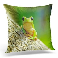 Šareno obožavalo depilgirano drvo žalošci zeleni amfibijski jastučni jastučni jastuk za jastuk