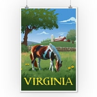Virginia, konj u polju