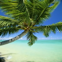 Prekrasan pogled na bistru vodu, palmi, duboki plavi nebo