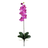Phalaenopsis svileni orhidejni cvijet w lišće