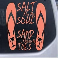 Sol u mojoj duši pijesku između mojih nožnih prstiju flip flops palmir ili kamion prozor za prozor za