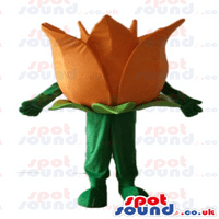Orange Tulip sa zelenim lišćem i zelenim stabljikom - maskote-maskote biljaka