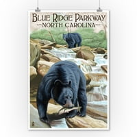Blue Ridge Parkway, Sjeverna Karolina, Black Bears Ribolov