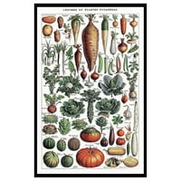 Classic Adolphe Millot poster - Vintage Crtanje štampa - Poklon za umjetnika, kuhar - povrće, botaničke,