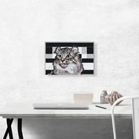 Američka Curl Cat Baze Geometrijska platna Art Print - Veličina: 18 12