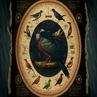Zodiacal Zephyrs - Astrologija Bird Platno Zidna umjetnost