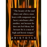 Artsyquotes crni moderni uokvireni muzej umjetnički print pod nazivom - Aristotel Citat: Duša sjaji