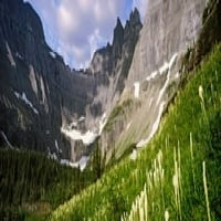 Beargrass s planinama u pozadini, Nacionalni park američkog ledenjaka, Montana, USA Poster Print