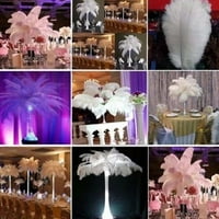 Jygee DIY odjeća perja perja Perje DIY kućni perje zanatske karnevalske kostime Party Home Home Vjenčani ukrasi bijeli