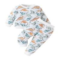 Peyakidsaa Toddler Boys Outfits Dječaci Jesenski zimski odjel Dugi rukav Dinosaur Print s kapuljačom + hlače