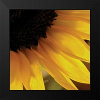 Burkhart, Monika Crna Moderna uokvirena muzej Art Print Naslijed - Sunlit Sunfloweres VI