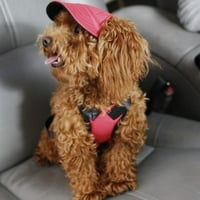 Hyperion kućni pas šešir za bejzbol kapa sa rupama za uši vjetrovito putni sportski platneni šeširi za štene na otvorenom za sunčanje