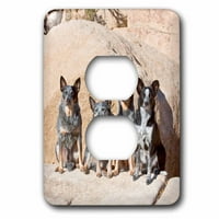 Četiri australijske pse za stoke - US ZMU - Zandria Muench BERALDDO utični poklopac LSP-88793-6
